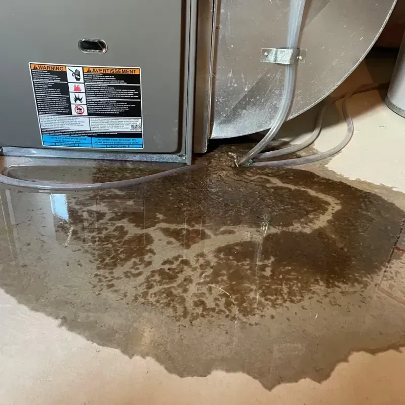 Appliance Leak Cleanup in Tilton, NH